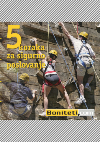 boniteti.com 5 Steps to Successful Business 2011