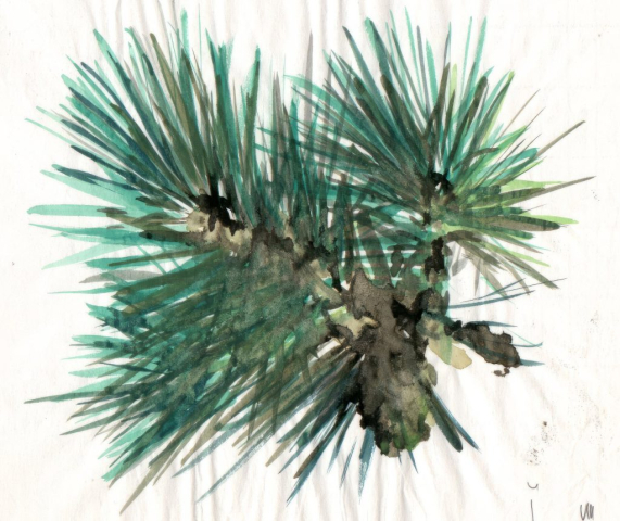 Ink and paint on paper, 1990